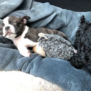 Meet your Posher, Tabitha